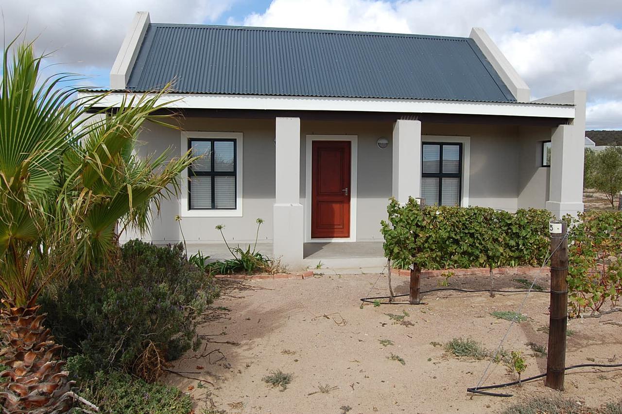 Penzion Longacre Olive & Vineyard Estate Langebaan Exteriér fotografie