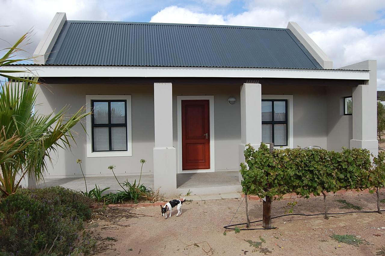 Penzion Longacre Olive & Vineyard Estate Langebaan Exteriér fotografie