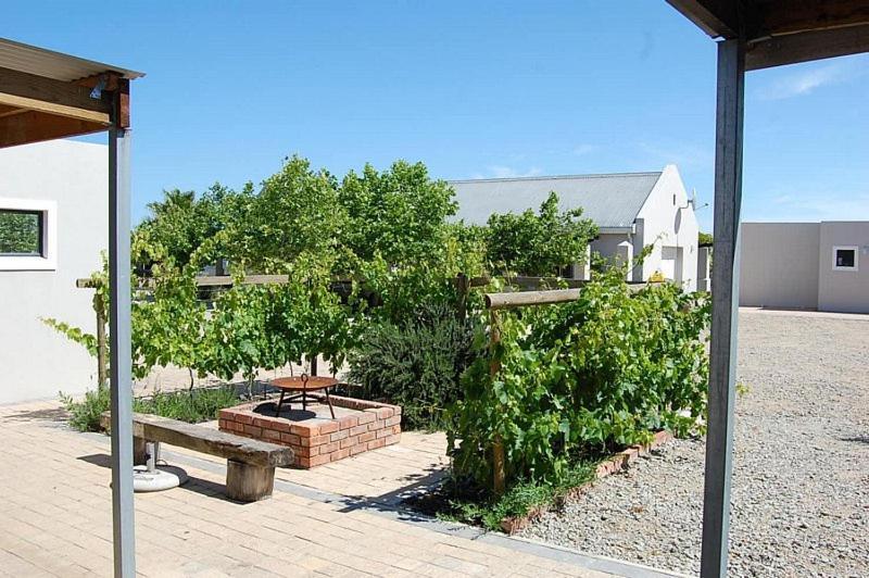 Penzion Longacre Olive & Vineyard Estate Langebaan Exteriér fotografie