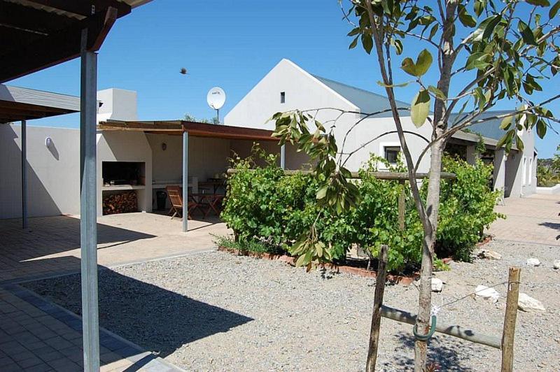 Penzion Longacre Olive & Vineyard Estate Langebaan Exteriér fotografie