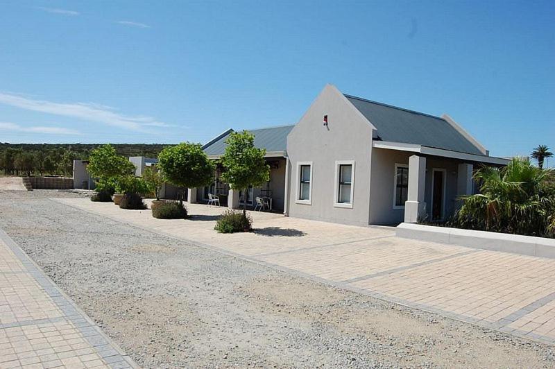Penzion Longacre Olive & Vineyard Estate Langebaan Exteriér fotografie