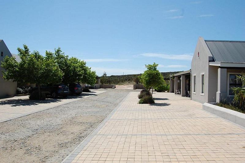Penzion Longacre Olive & Vineyard Estate Langebaan Exteriér fotografie